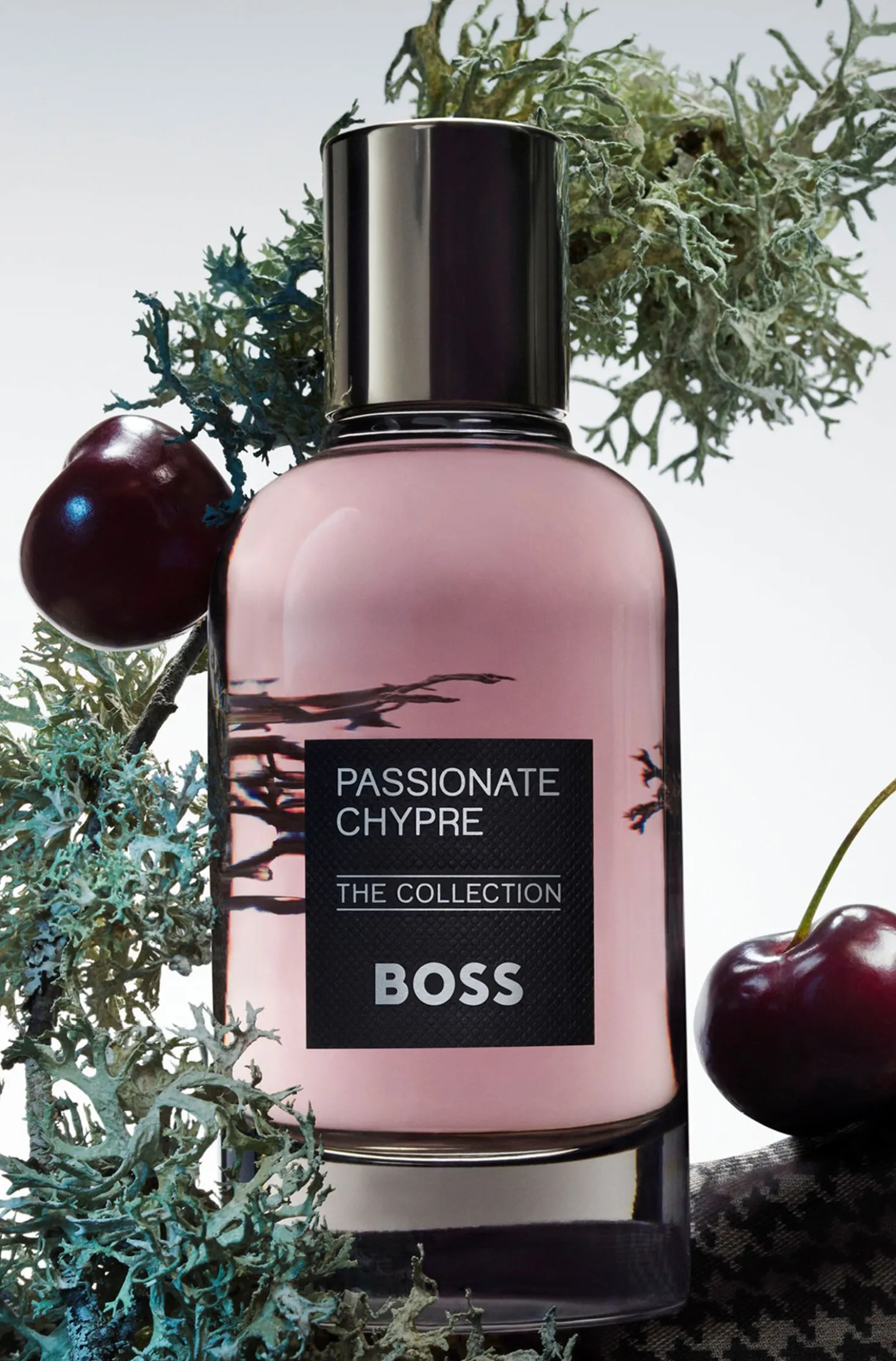 BOSS The Collection Passionate Chypre Eau de Parfum 100 ml