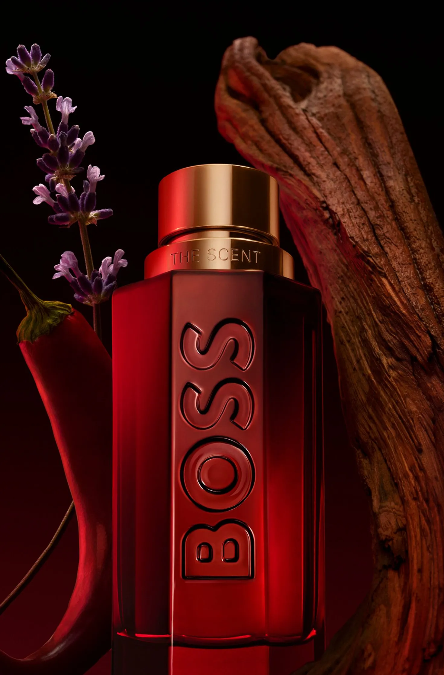 BOSS The Scent Elixir Parfum Intense 50 ml