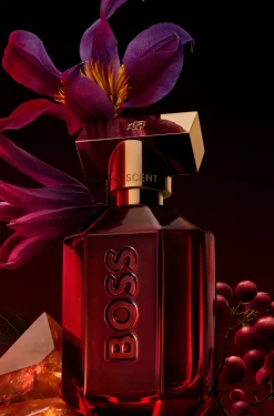 BOSS The Scent Elixir Parfum Intense 50 ml