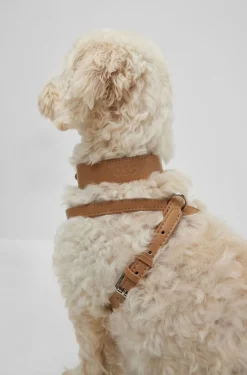Hunde-Geschirr aus recyceltem Leder