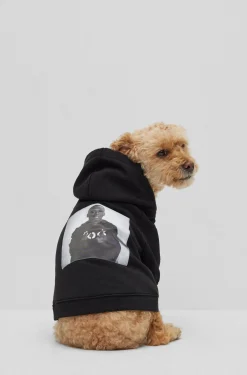 Hunde-Hoodie aus Baumwolle mit Khaby-Lame-Artwork